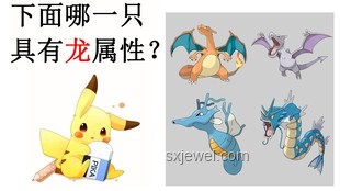 精灵宝可梦中的有趣冷知识对比解析